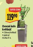 OVOCN KEE KVTIN