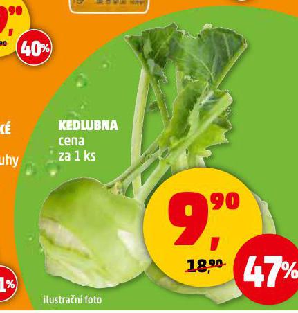 KEDLUBNA