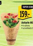 ANTURE MIX