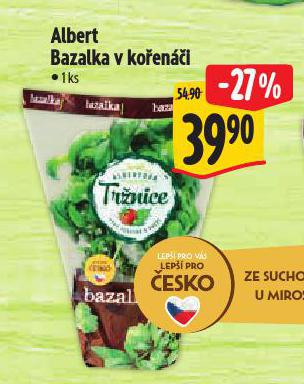 BAZALKA V KOENI