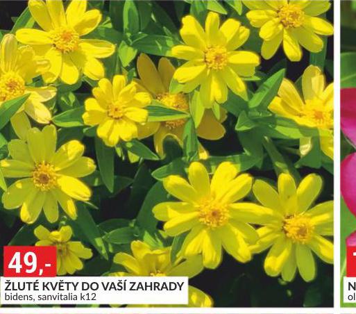 LUT KVTY DO VA ZAHRADY