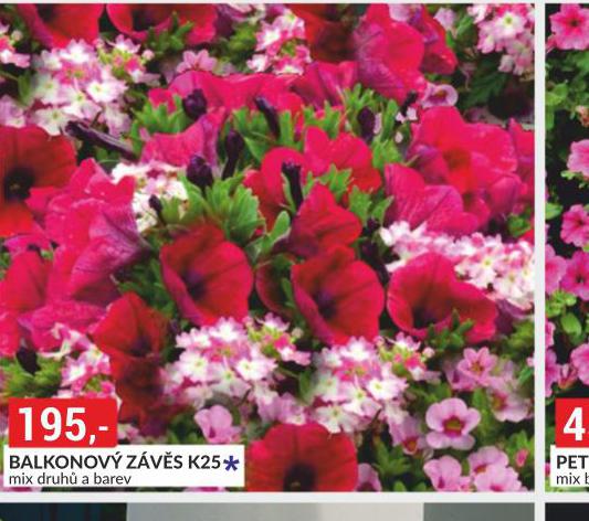 BALKONOV ZVS