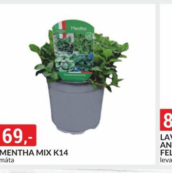 MENTHA MIX