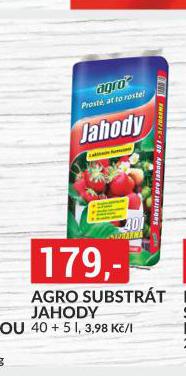AGRO SUBTSRT JAHODY