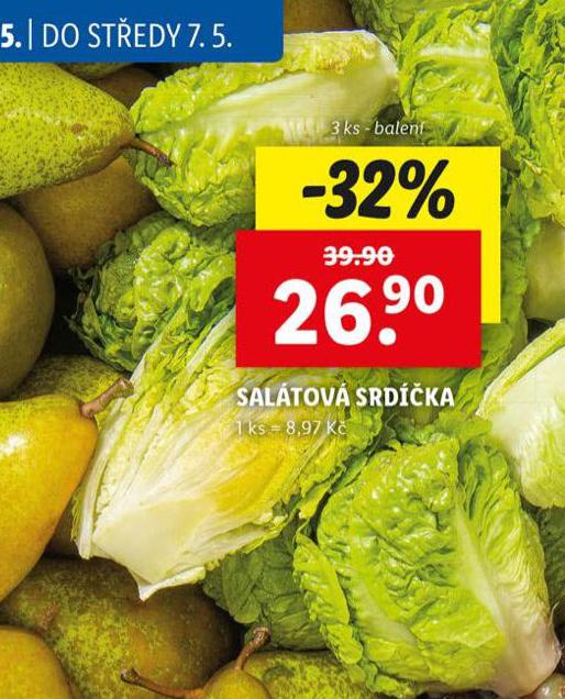SALTOV SRDKA
