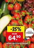 RAJATA CHERRY