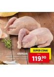 KEPELKA