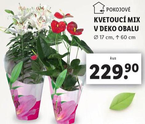 KVETOUC MIX V DEKO OBALU