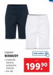 BERMUDY