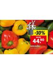 PAPRIKA MIX