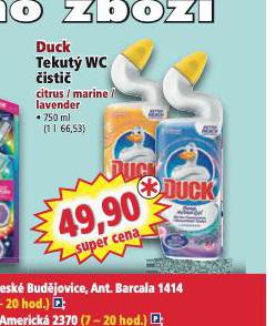 DUCK TEKUT WC ISTI