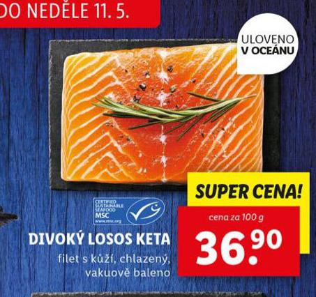 DIVOK LOSOS KETA