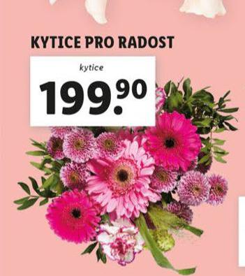 KYTICE PRO RADOST