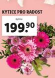 KYTICE PRO RADOST