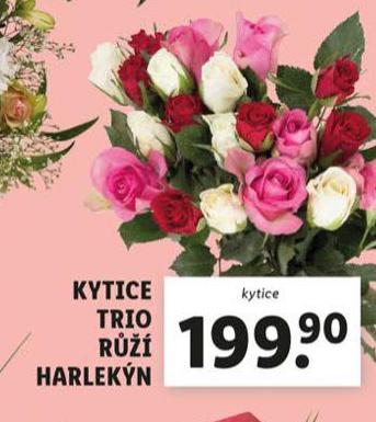 KYTICE TRIO Rَ HARLEKN