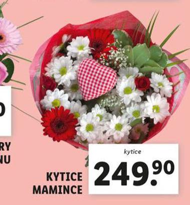 KYTICE MAMINCE