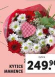 KYTICE MAMINCE