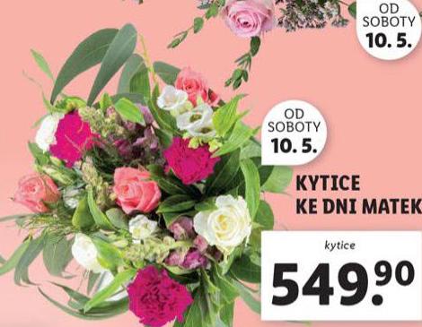 KYTICE KE DNI MATEK