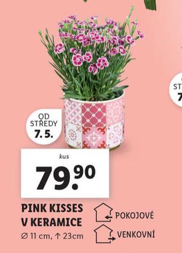PINK KISSES V KERAMICE