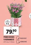 PINK KISSES V KERAMICE