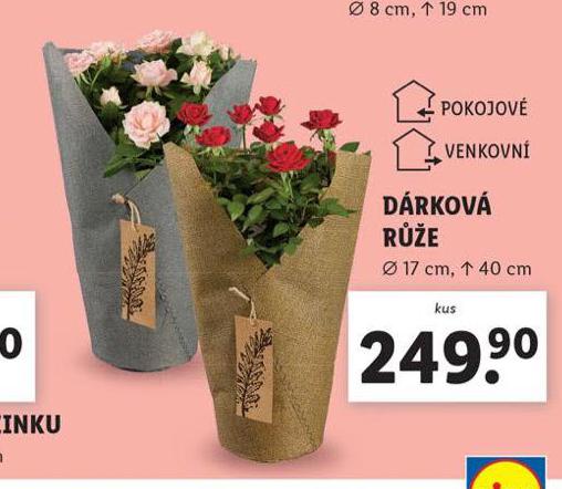 DRKOV RَE