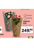 DRKOV RَE