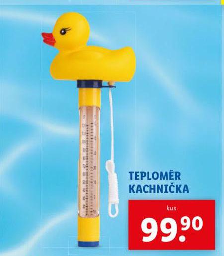 TEPLOMR KACHNIKA