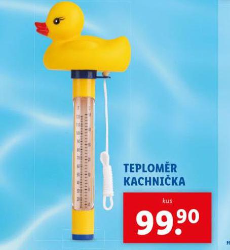 TEPLOMR KACHNIKA