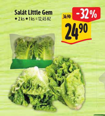 SALT LITTLE GEM