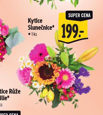 KYTICE SLUNENICE
