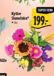 KYTICE SLUNENICE
