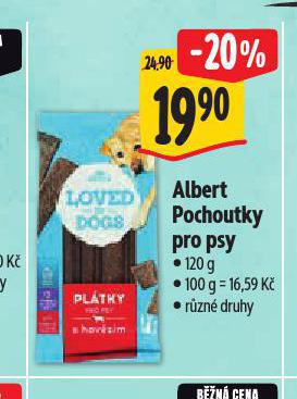 POCHOUTKY PRO PSY