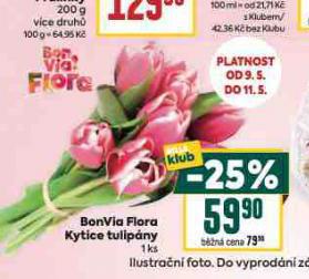 KYTICE TULIPNY