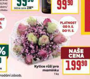 KYTICE Rَ PRO MAMINKU