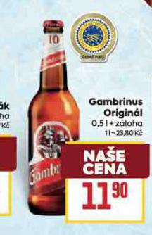 PIVO GAMBRINUS