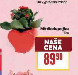 MINIKOLOPEJKA