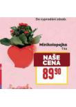 MINIKOLOPEJKA