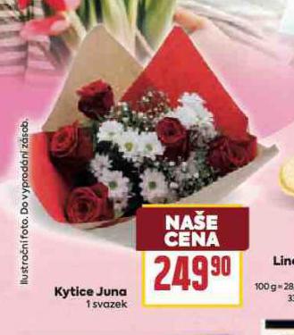 KYTICE JUNA