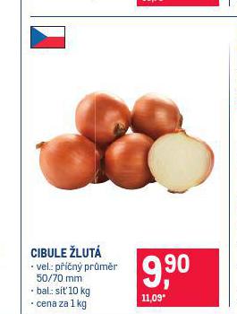 CIBULE LUT