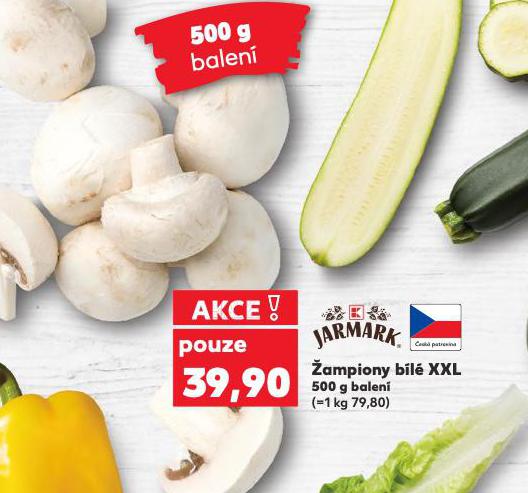 AMPIONY BL XXL