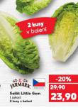 SALÁT LITTLE GEM