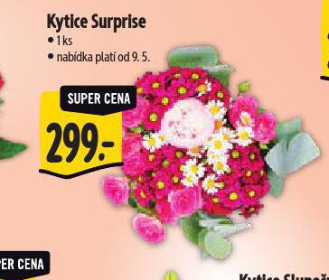 KYTICE SURPRISE
