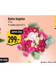 KYTICE SURPRISE