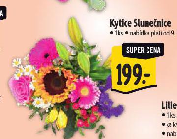 KYTICE SLUNENICE
