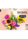KYTICE SLUNENICE