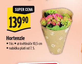 HORTENZIE