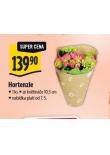 HORTENZIE