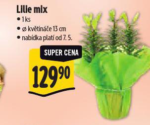 LILIE MIX