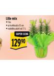 LILIE MIX
