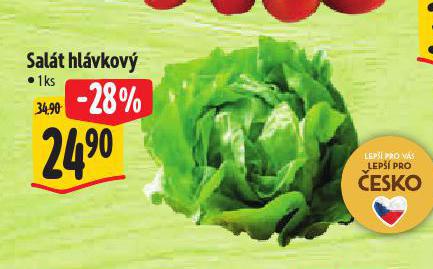 SALT HLVKOV